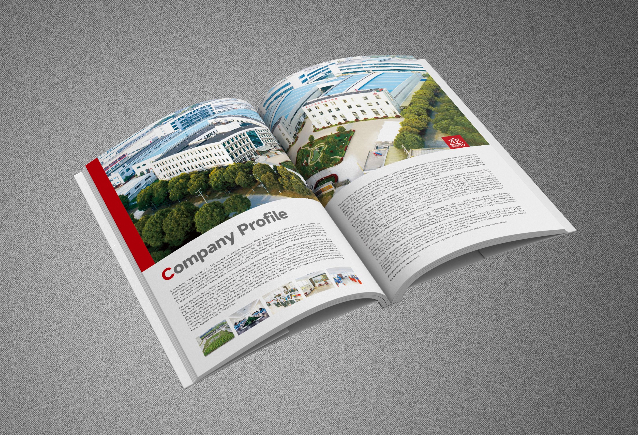 ������ʱ