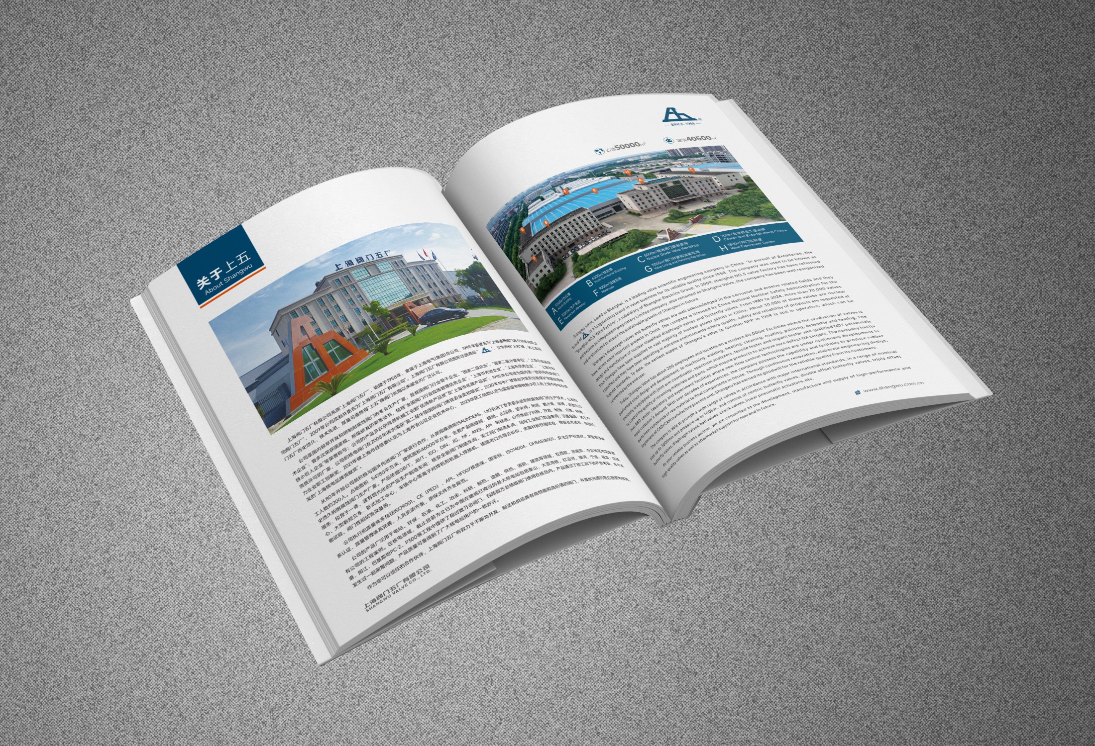 ������ʱ