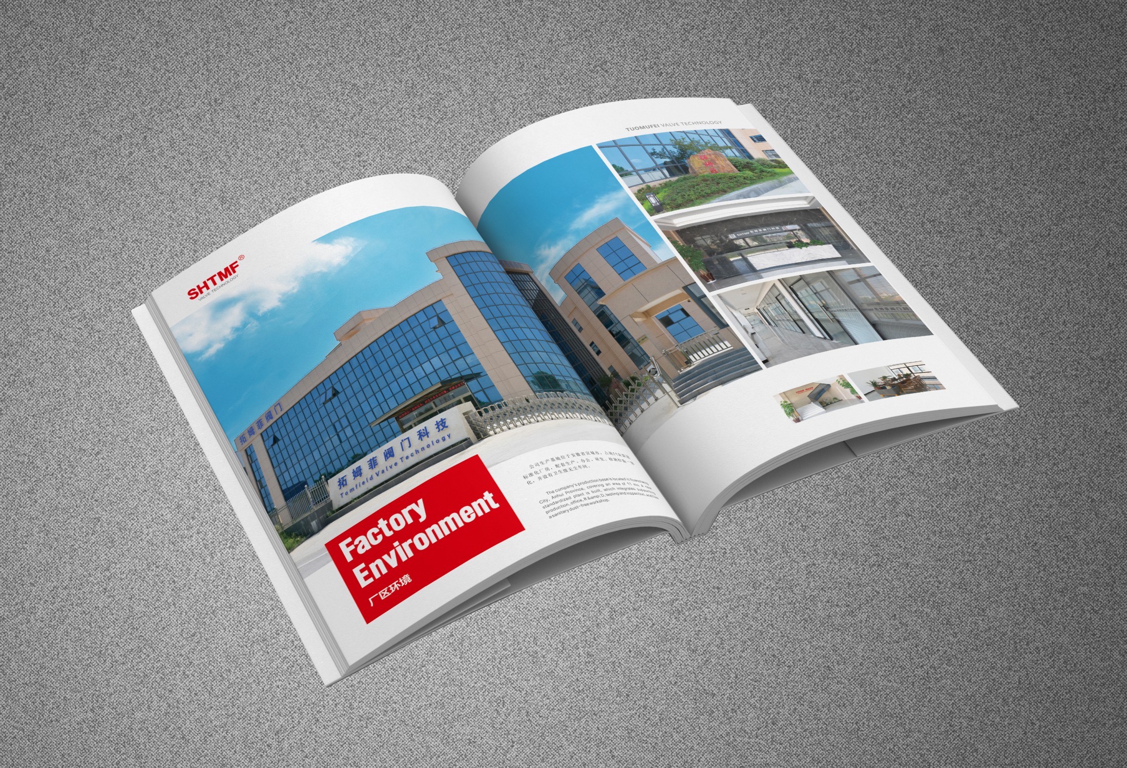 ������ʱ